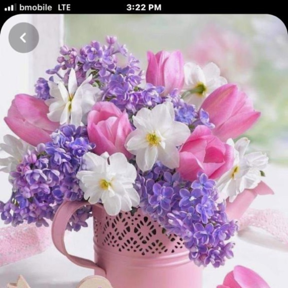 Meet your Posher, Michelle